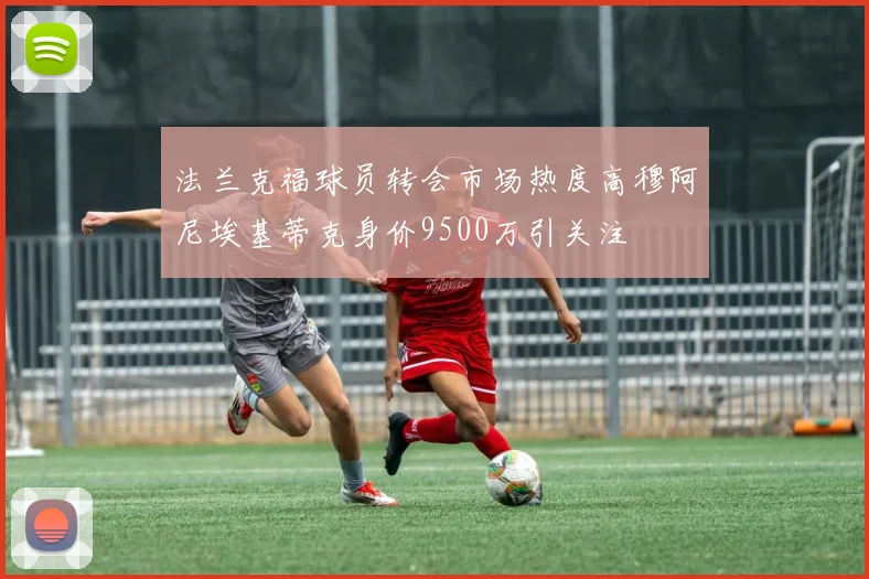 法兰克福球员转会市场热度高穆阿尼埃基蒂克身价9500万引关注